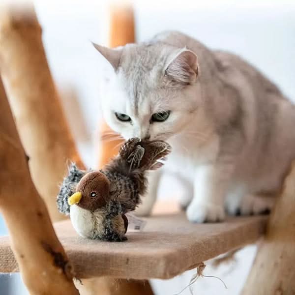 Estimula el instinto natural de tu gato 